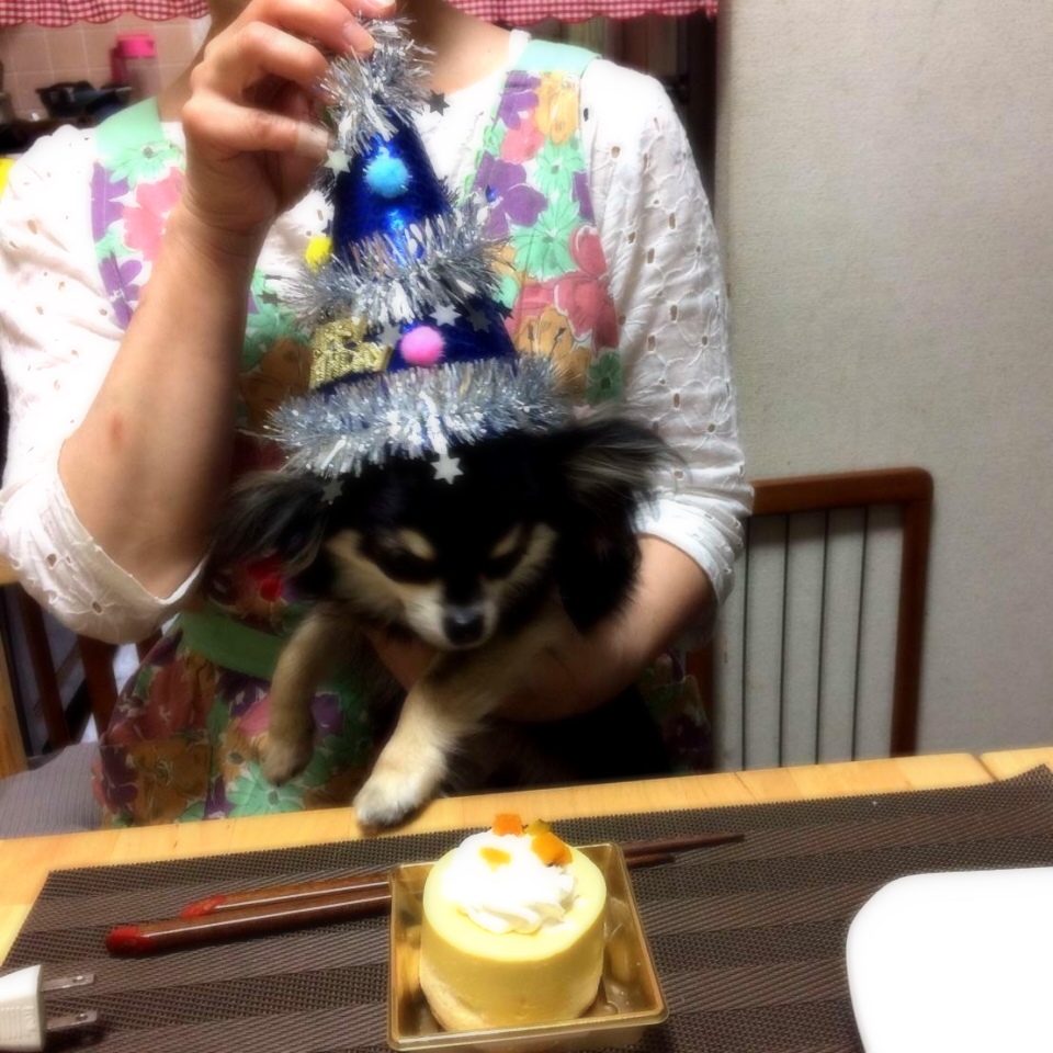 HBDI