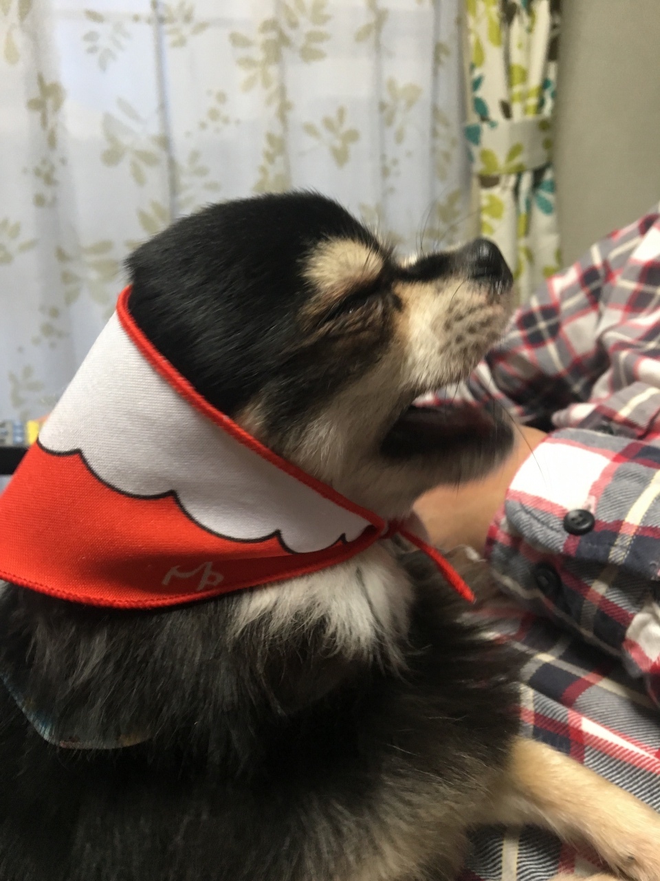 傤͂ȂɂȂ΂炵