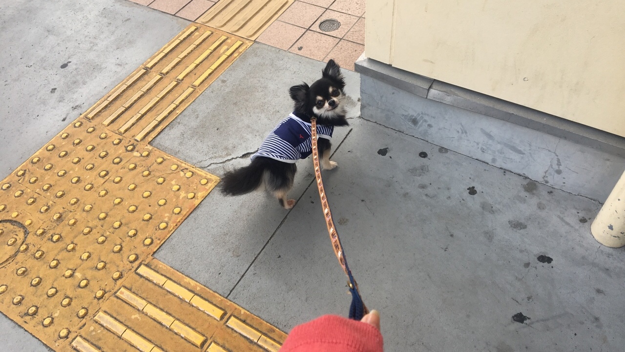 Ua