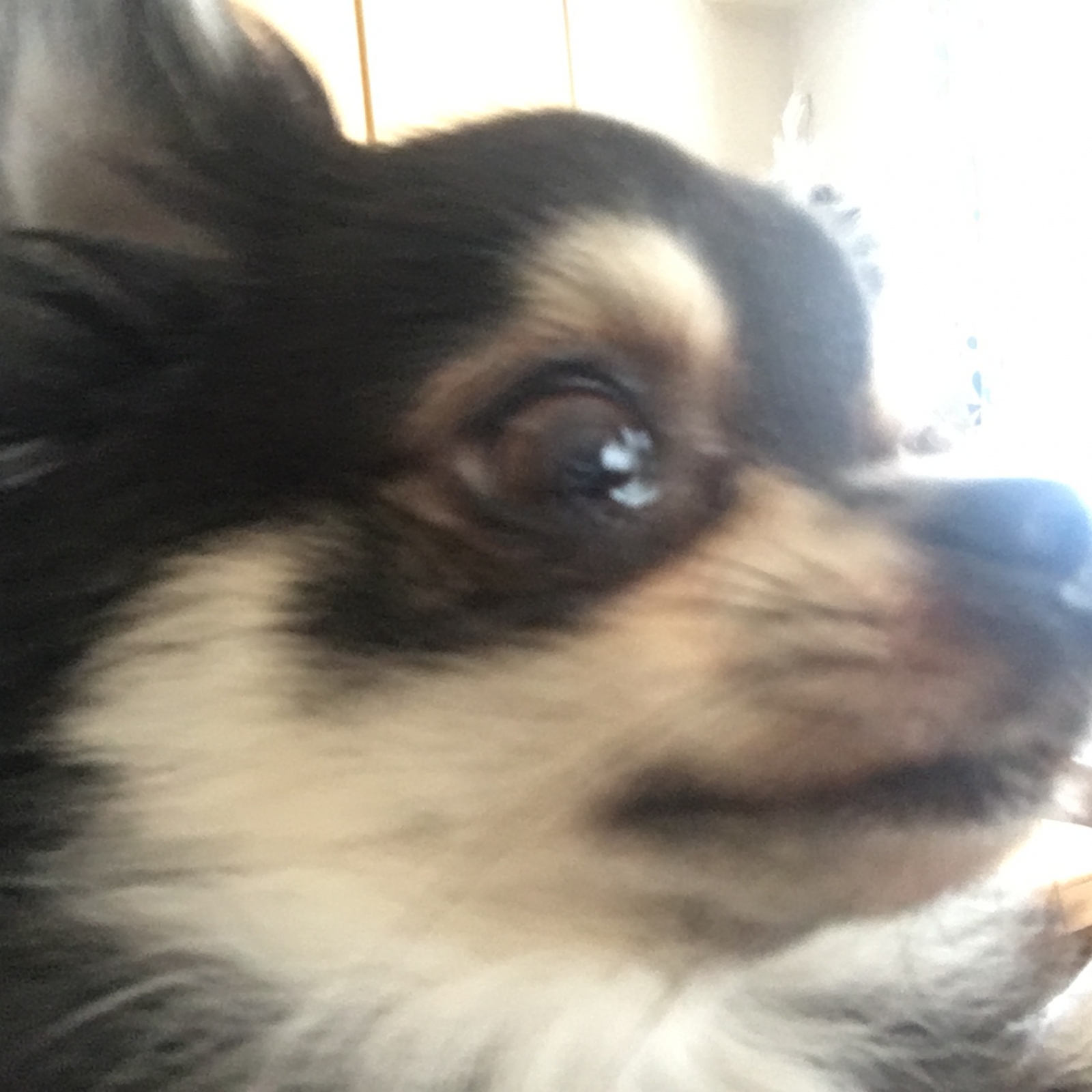 tH[