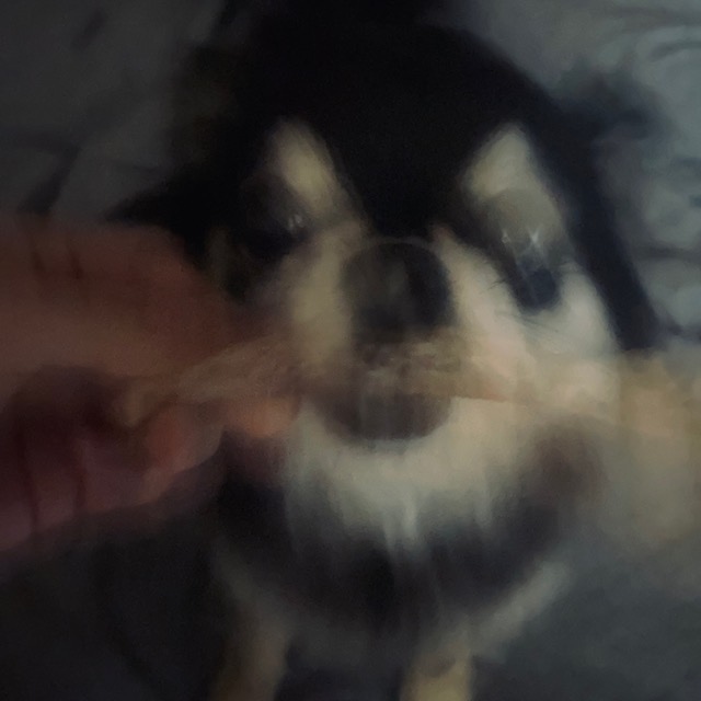 ͐肾